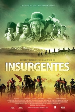 Poster Insurgentes 2012