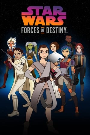 Poster Star Wars: Forces of Destiny 2017