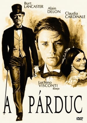 Poster A párduc 1963