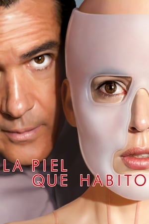 Poster La piel que habito 2011