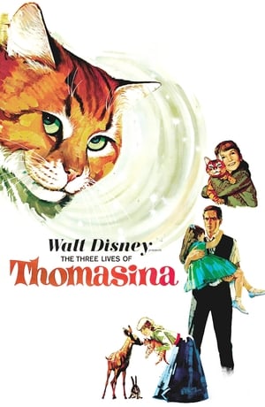 Poster Die drei Leben von Thomasina 1963