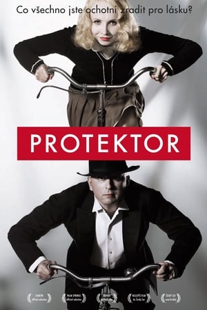 Poster Protektor 2009