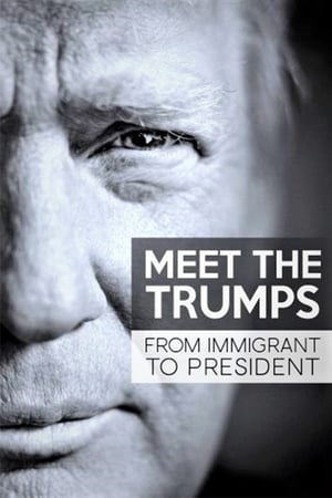 Poster 트럼프 3대: 이민자에서 대통령까지 2017