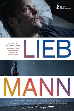 Poster Liebmann 2017