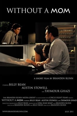 Poster Without a Mom 2011
