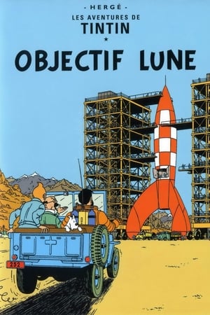 Poster Objectif Lune 1992