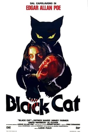 Poster The Black Cat 1981