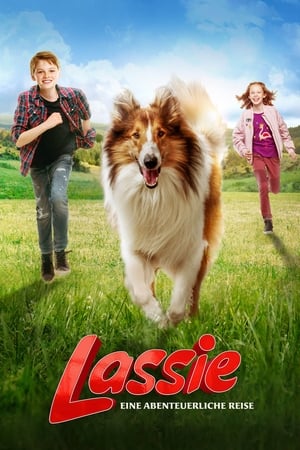 Poster Lassie Eve Dön 2020
