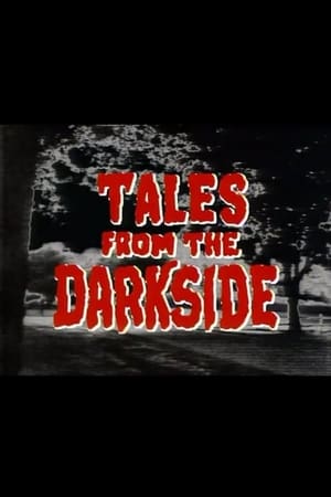 Poster Darkside 2: les Contes de la Nuit Noire 1988