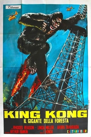 Image King Kong - Il gigante della foresta