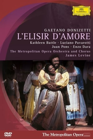 Poster Donizetti: L'Elisir d'Amore 1991