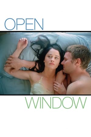 Poster Open Window 2006