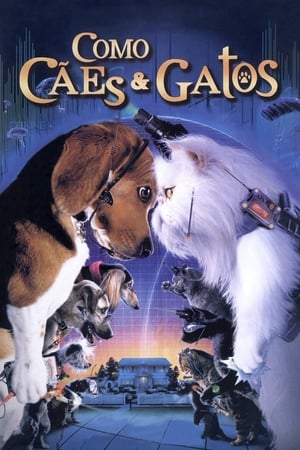 Poster Como Cães e Gatos 2001