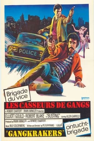 Image Les Casseurs De Gangs