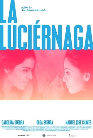 Poster La luciérnaga 2013