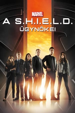 Poster A S.H.I.E.L.D. ügynökei 2. évad A dolgok, amelyeket eltemetünk 2014