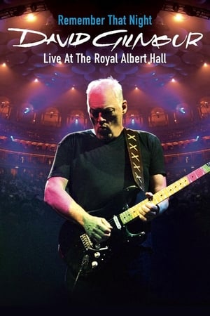 Poster David Gilmour - Remember That Night 2007