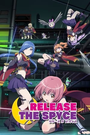 Poster Release the Spyce 2018