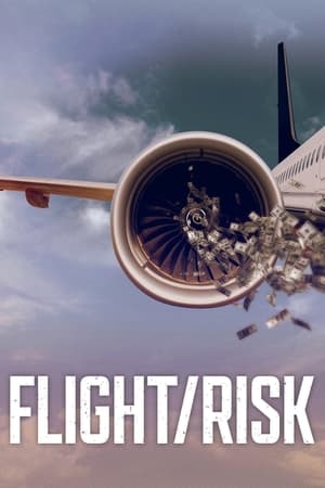 Poster Flight/Risk 2022