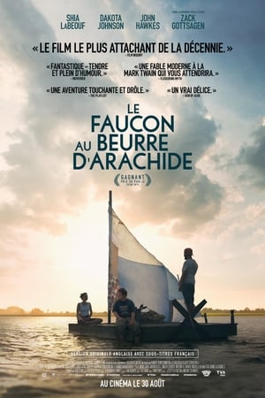 Poster Le Cri du Faucon 2019