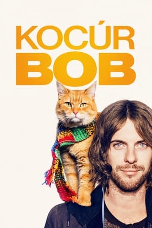 Poster Kocúr Bob 2016