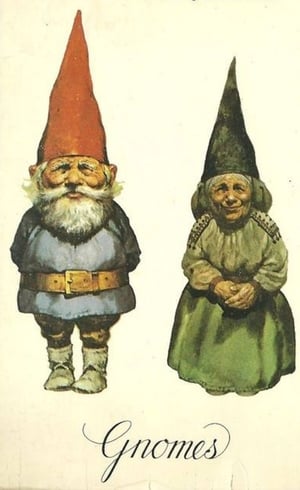 Poster Gnomes 1980
