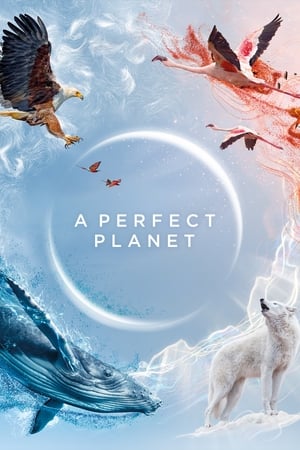 Poster A Perfect Planet 2021