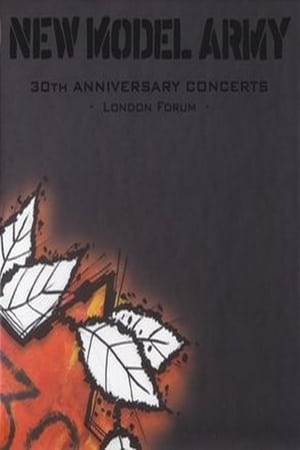 Poster New Model Army 30th Anniversary Concerts 2011