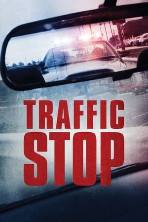 Poster Traffic Stop 2017