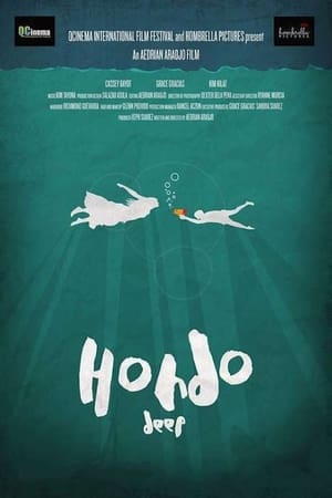 Poster Hondo 2016