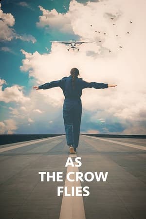 Poster As the Crow Flies 2017