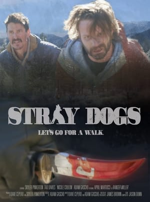 Poster Stray Dogs 2020
