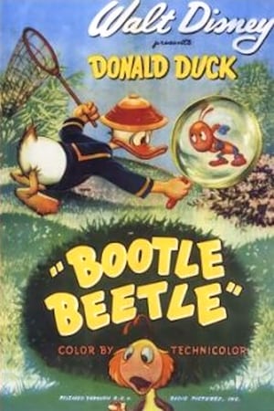 Image Bootle Beetle