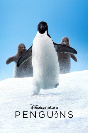 Image Pinguine