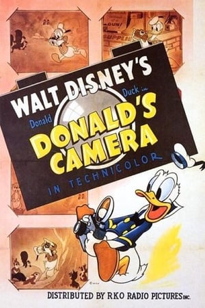 Poster Donald's Camera 1941