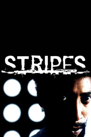 Poster Stripes 2005