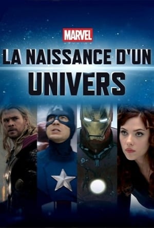 Poster Marvel : La naissance d'un univers 2014