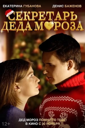 Poster Секретарь Деда Мороза 2023
