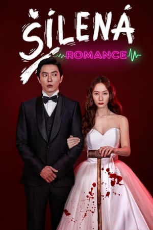 Poster Šílená romance 2022