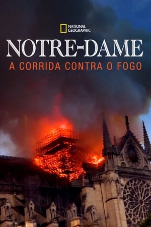 Image Notre Dame: Race Against the Inferno