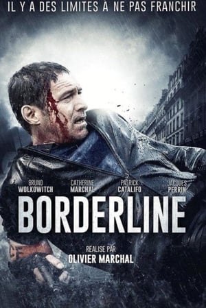 Poster Borderline 2014