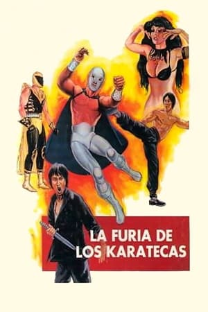 Poster La Furia De Los Karatecas 1982