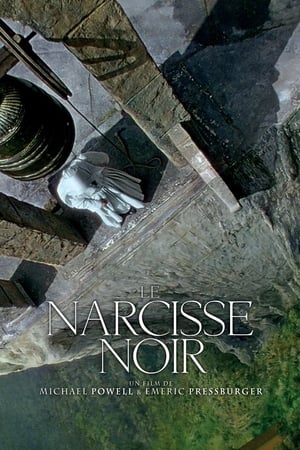 Poster Le Narcisse noir 1947