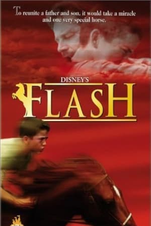 Poster Flash 1997