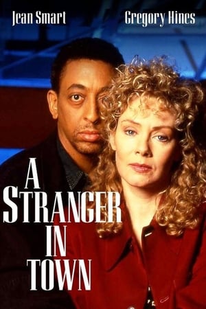 Poster A Stranger in Town 1995