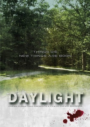 Poster Daylight 2011