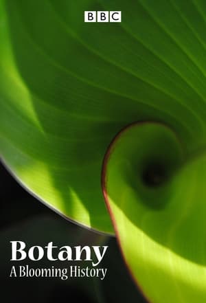 Poster Botany: A Blooming History 2011