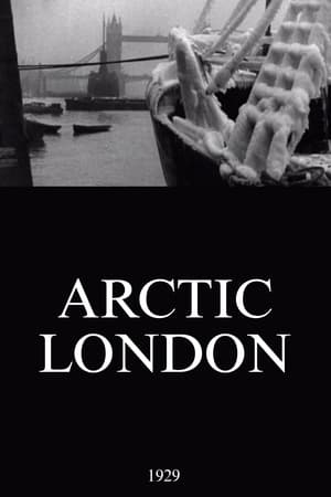 Poster Arctic London 1929