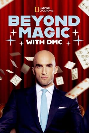 Poster Beyond Magic with DMC 2014