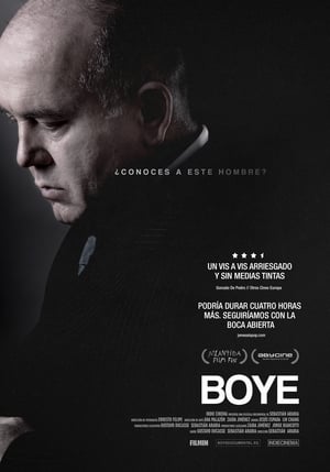 Poster Boye 2017